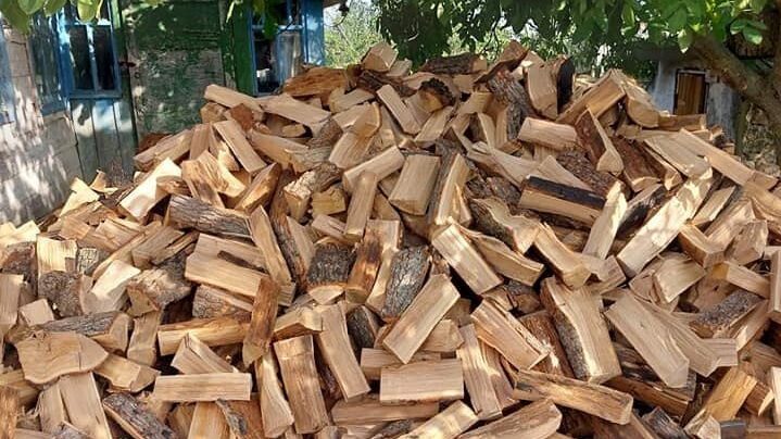 Штрафи за дрова: за яку кількість деревини на подвір'ї зібрались карати  українців - Вісті Черкащини